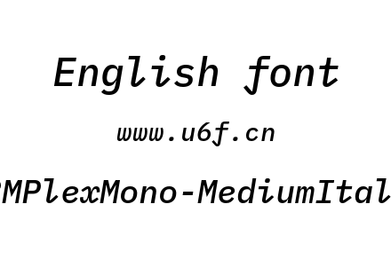 IBMPlexMono-MediumItalic.otf