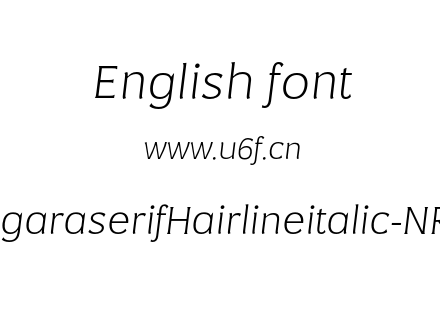 NegaraserifHairlineitalic-NRgjJ.otf