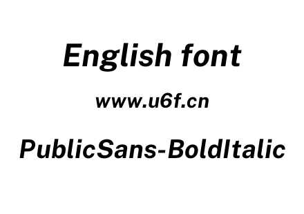 PublicSans-BoldItalic.otf