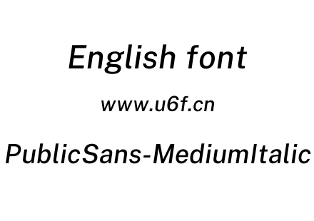 PublicSans-MediumItalic.otf