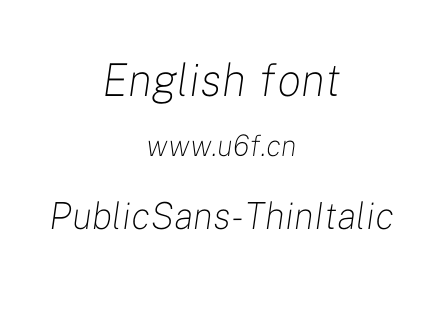 PublicSans-ThinItalic.otf