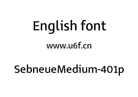 SebneueMedium-401p.otf