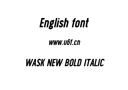 WASK NEW BOLD ITALIC.OTF