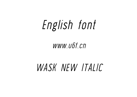 WASK NEW ITALIC.OTF