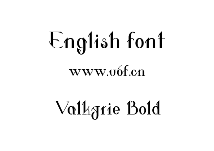 Valkyrie-Bold.ttf