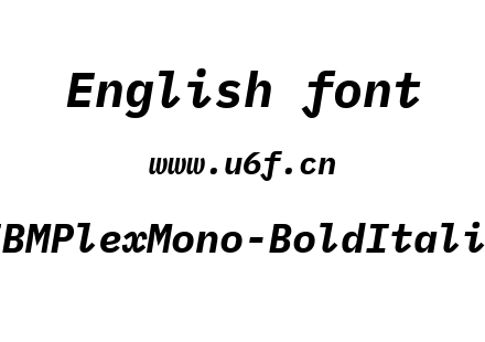 IBMPlexMono-BoldItalic.ttf