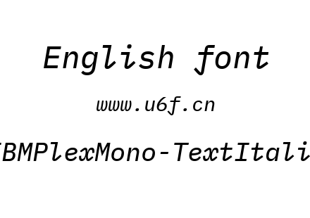 IBMPlexMono-TextItalic.ttf