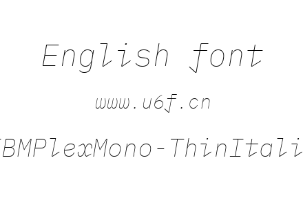 IBMPlexMono-ThinItalic.ttf