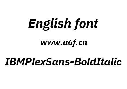 IBMPlexSans-BoldItalic.ttf