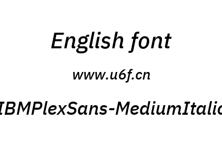 IBMPlexSans-MediumItalic.ttf