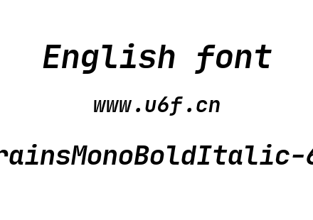 JetbrainsMonoBoldItalic-6YyW6.ttf