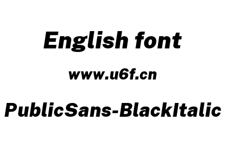 PublicSans-BlackItalic.ttf