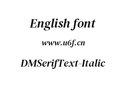 DMSerifText-Italic.ttf下载