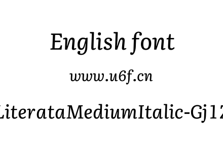 LiterataMediumItalic-Gj1Z.ttf下载