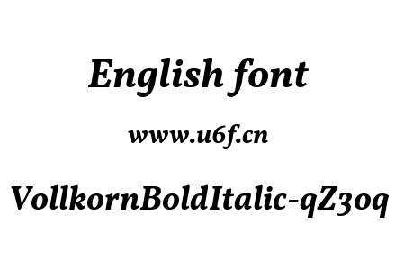 VollkornBoldItalic-qZ3oq.ttf下载