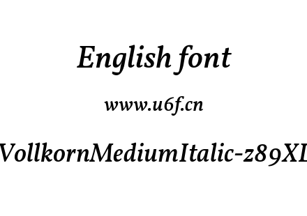 VollkornMediumItalic-z89XL.ttf下载