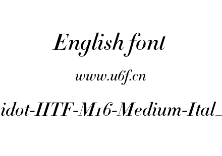 Didot-HTF-M16-Medium-Ital_0.otf下载