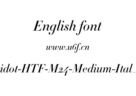 Didot-HTF-M24-Medium-Ital_0.otf下载