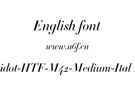 Didot-HTF-M42-Medium-Ital_0.otf下载
