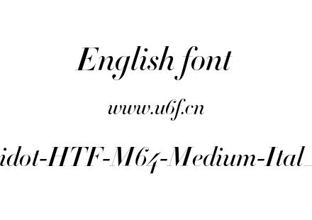 Didot-HTF-M64-Medium-Ital_0.otf下载