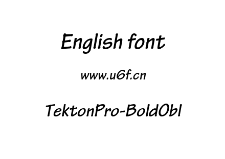 TektonPro-BoldObl.otf