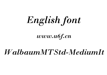 WalbaumMTStd-MediumIt.otf
