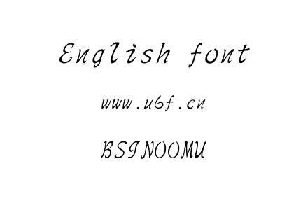 BSIN00MU.TTF