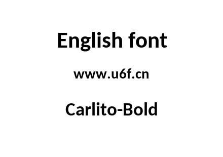 Carlito-Bold.ttf