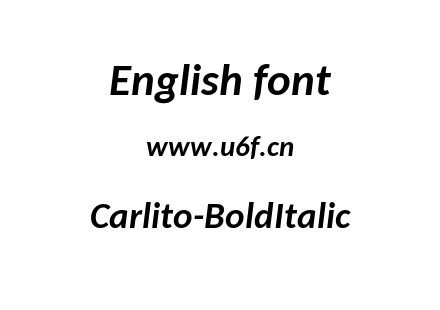Carlito-BoldItalic.ttf