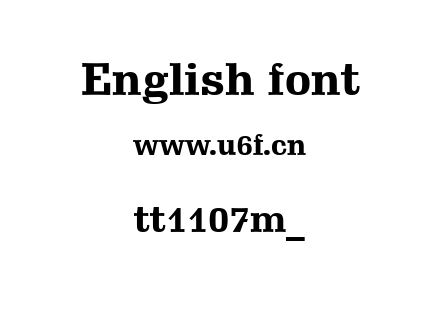tt1107m_.ttf下载